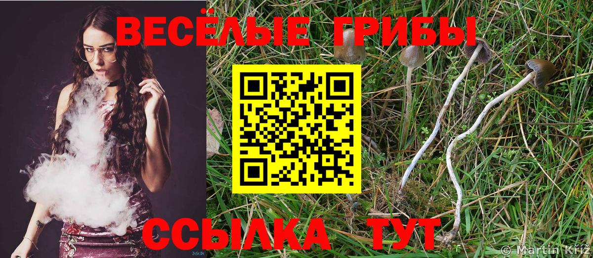 Псилоцибиновые грибы мицелий Ялта